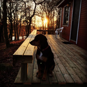Farm Stay Happy Dogs Ranch in Veberöd